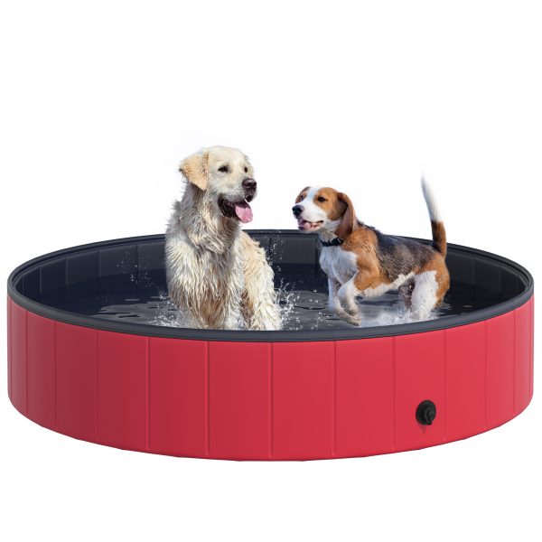 Piscina para Mascotas
