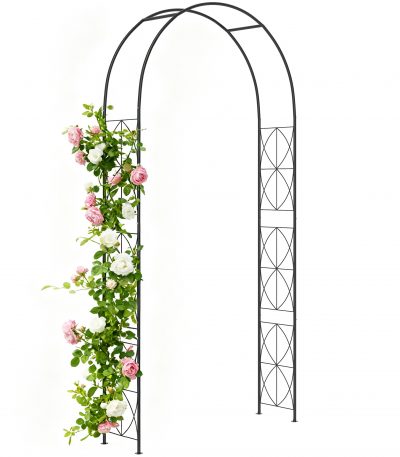 gRDjxohRKAXiB6mEOBmbuwaosomBzexLOenI BIJLps9teoBA.jpg